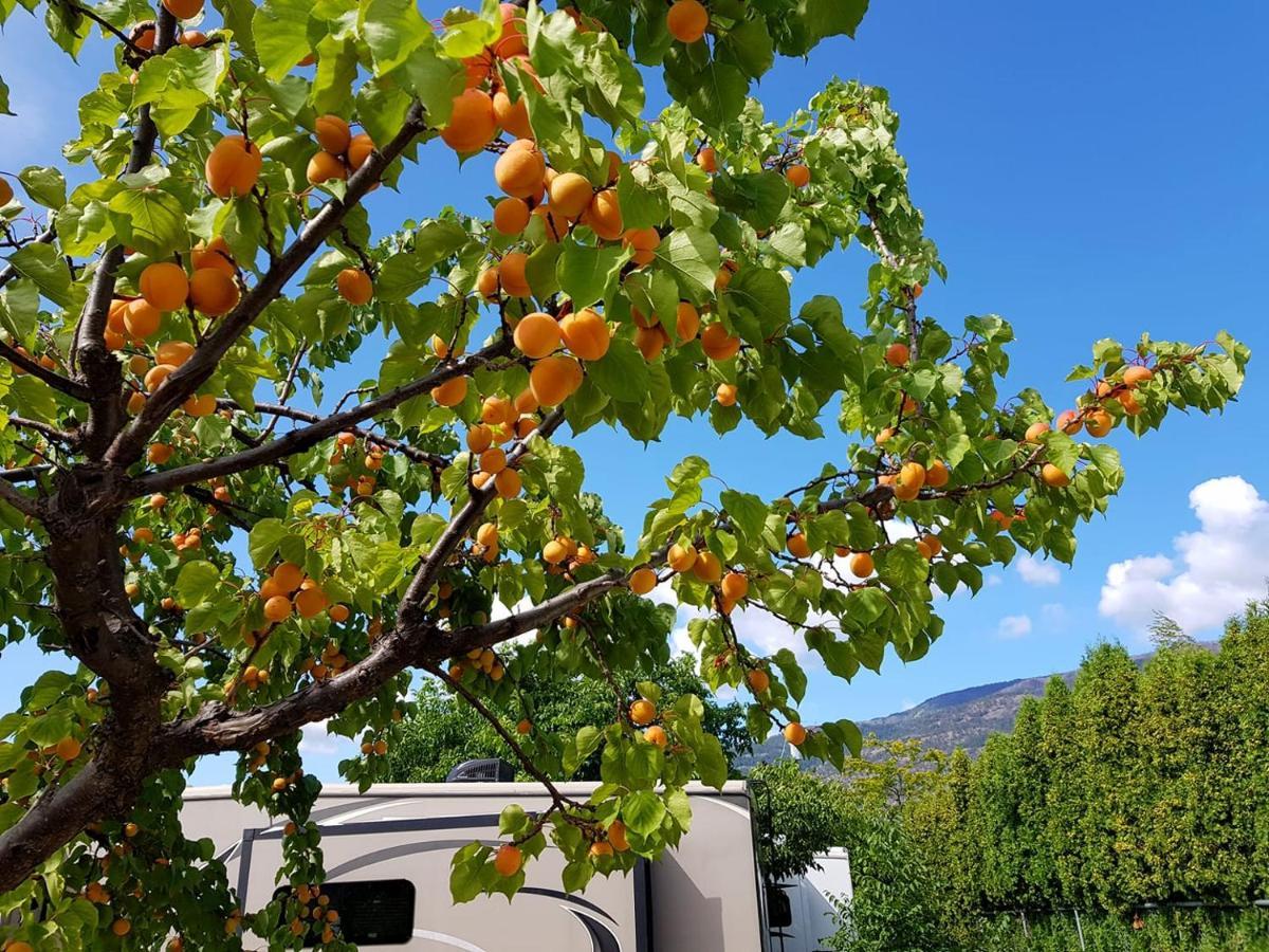 The Orchard At Oliver Hotel Kültér fotó